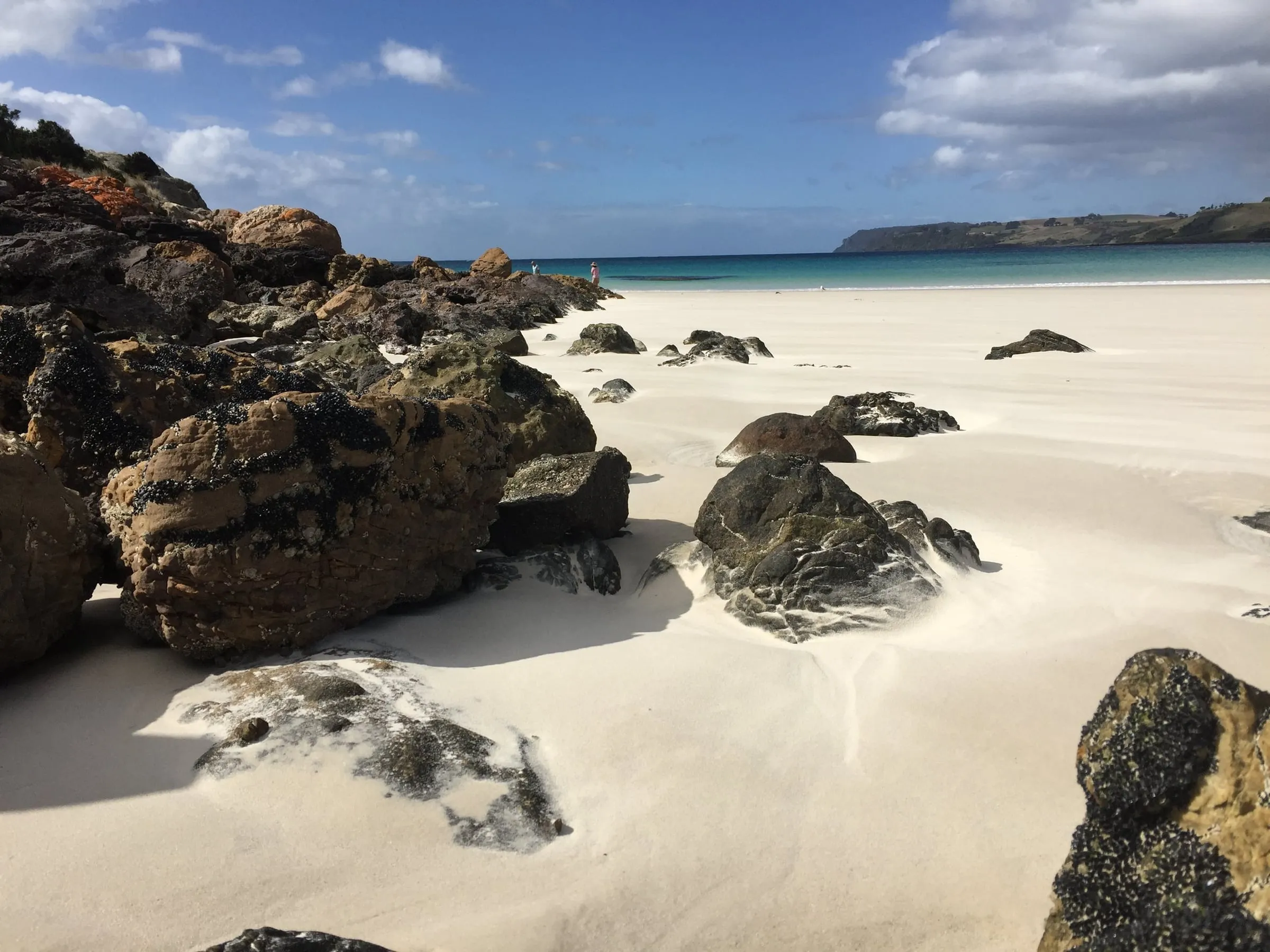 Rocky Cape National Park